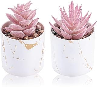 Der Rose Set of 2 Succulents Plants Artificial Mini Fake Succulents Plants Graduation Gifts Office Desk Accessories for Women Pink Home Van...
